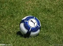 双色球风云,期福彩开奖,号码揭秘,体彩网,中国体彩网直播,中国体彩网官方,体彩网下载