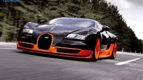 中国体彩网 资讯 104731 d63